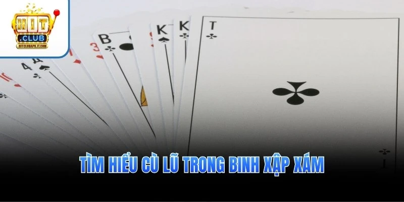 Tìm hiểu cù lũ trong binh xập xám