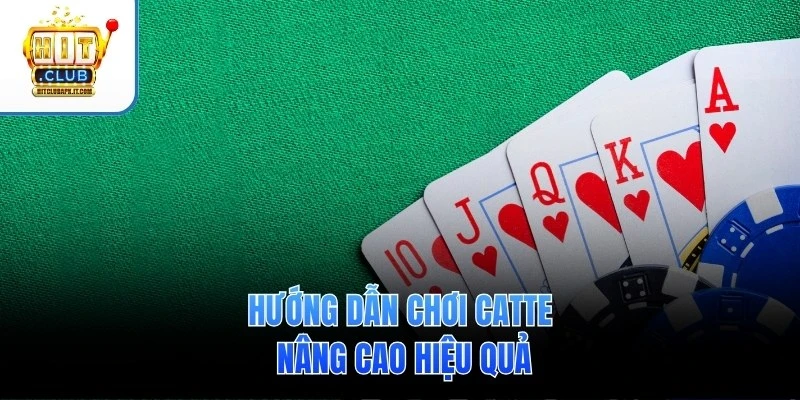 Hướng dẫn chơi Catte nâng cao hiệu quả